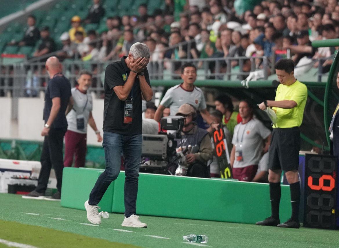 董路曾多次 董路曾多次