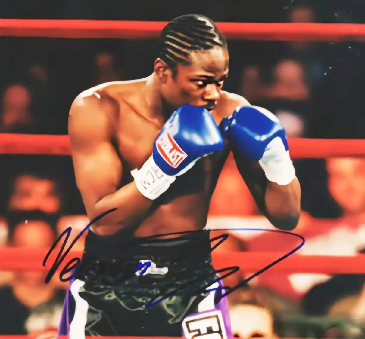 div, entit, 甜豌豆